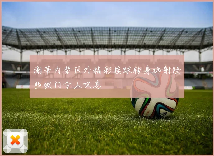 谢蒂内禁区外精彩接球转身远射险些破门令人叹息